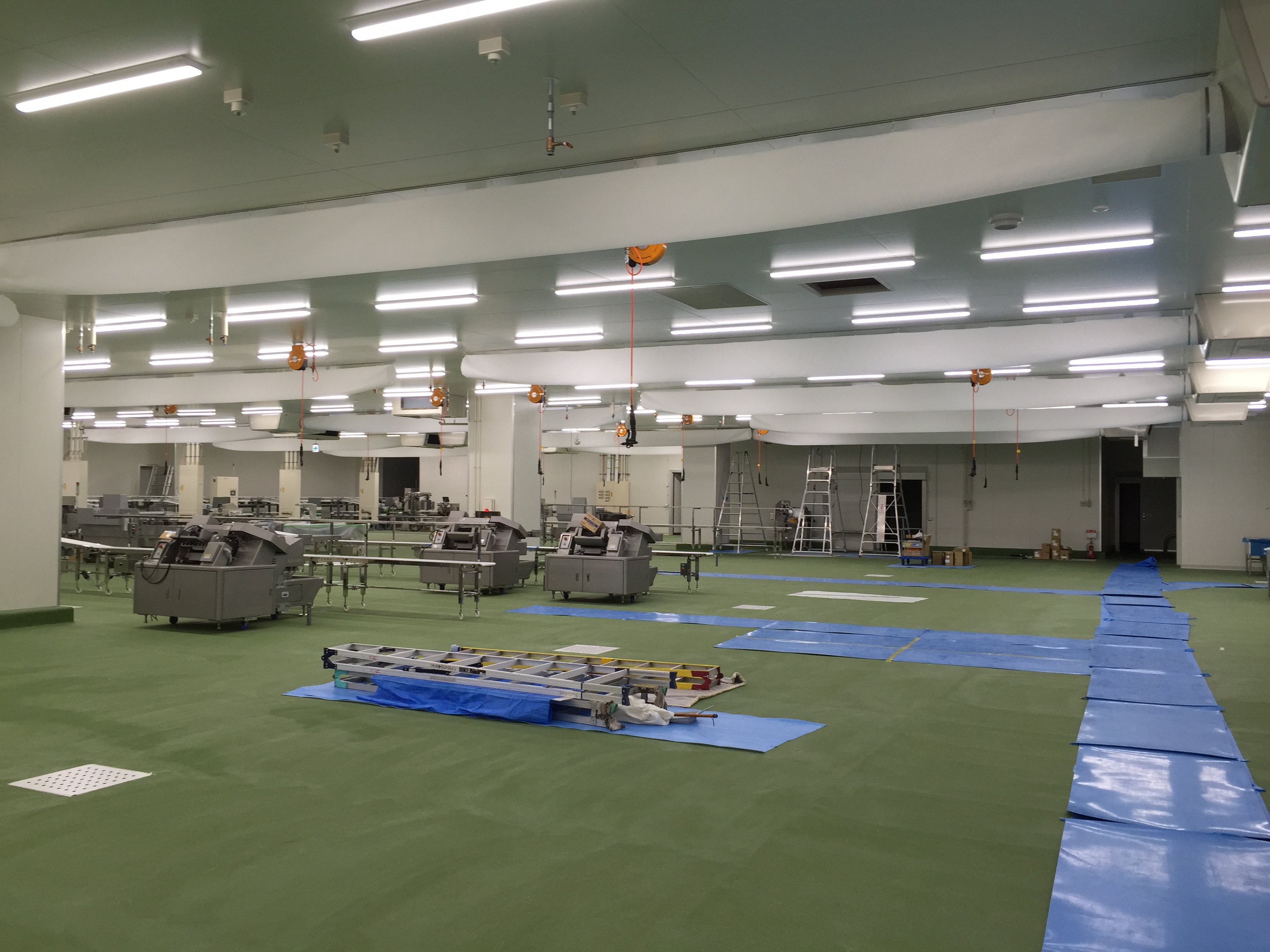 �����������������C���[�W